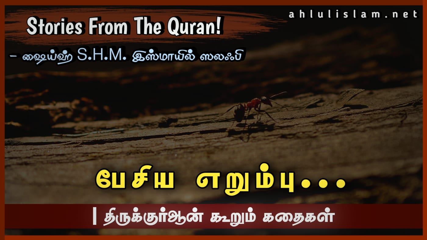 பேசிய எறும்பு...
