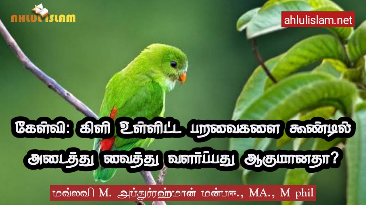 கேள்வி: கிளி உள்ளிட்ட பறவைகளை கூண்டில் அடைத்து வைத்து வளர்ப்பது ஆகுமானதா? அஸாருத்தீன், வில்லிவாக்கம், சென்னை.